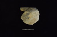 陶罐藏品圖，第1張